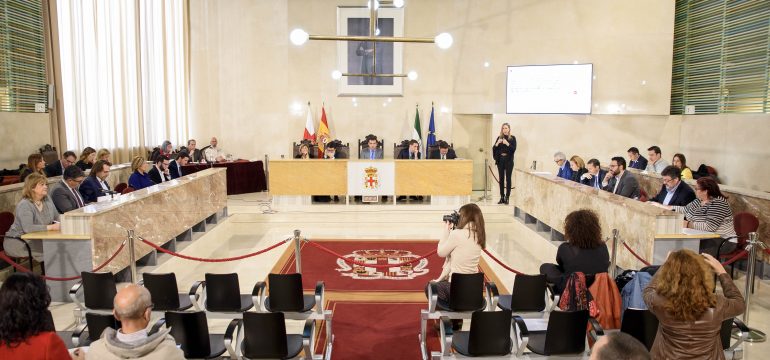 VISTA GENERAL pleno ayto05