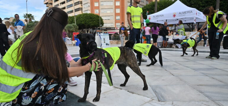 Inauguración AlmAnimal 2026 (3)