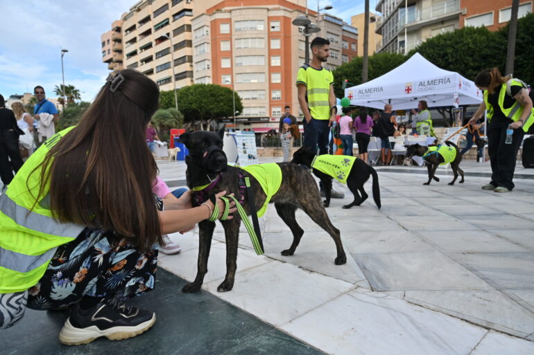 Inauguración AlmAnimal 2026 (3)