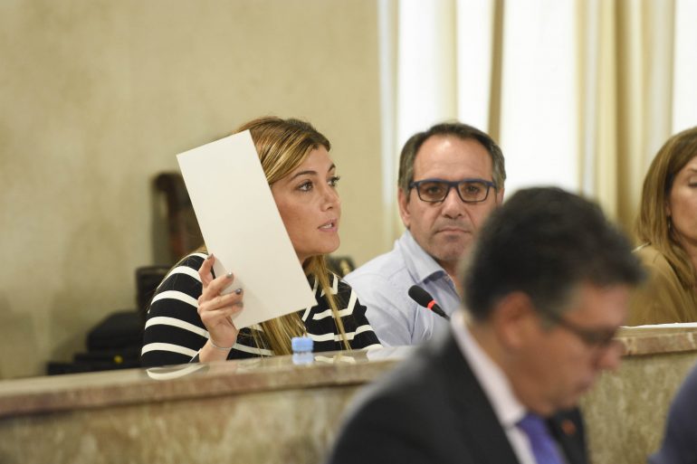 PLENO CAROLINA LAFITA MOCIÓN COMERCIO1