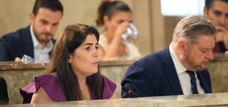 pleno-almeria-reduccion-impuesto-plusvalias