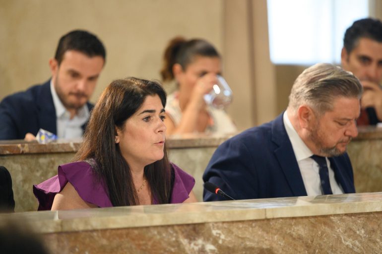 pleno-almeria-reduccion-impuesto-plusvalias