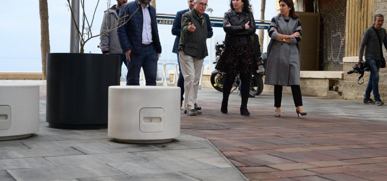 zapillo-accesibilidad