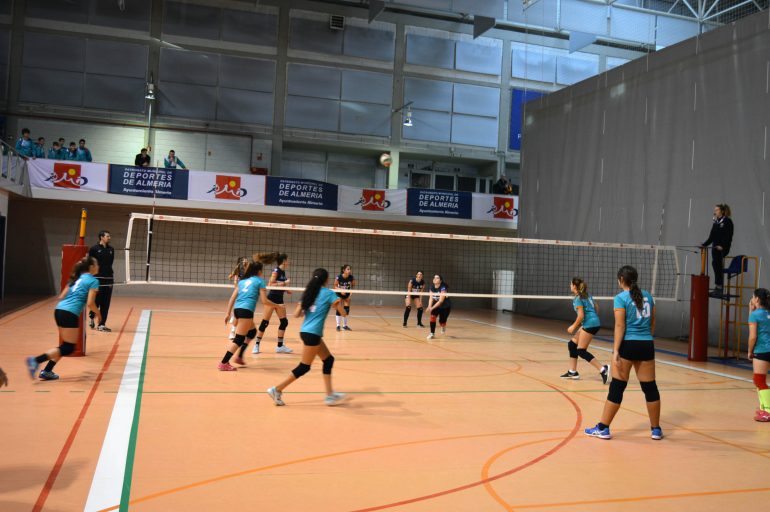 jdm-voleibol