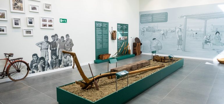 INAUGURACION-MUSEO-VEGA2