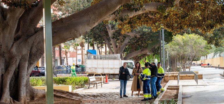 VISITA-FICUS-CENTENARIO
