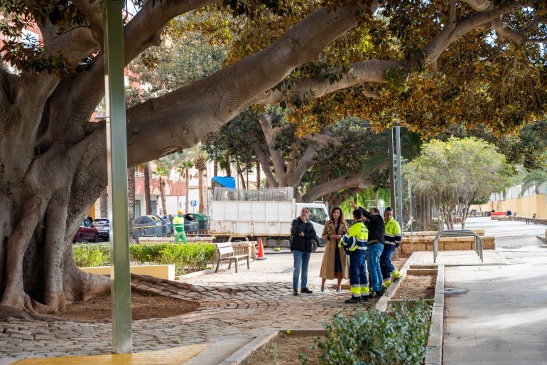 VISITA-FICUS-CENTENARIO