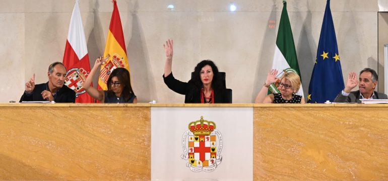 PLENO-VOTACION-LIMPIEZA