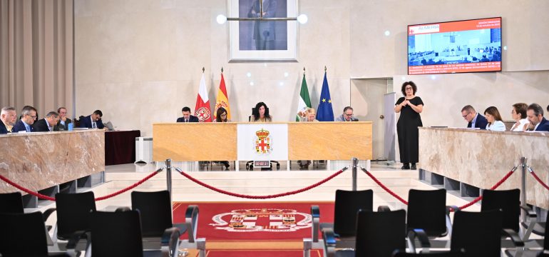 PLENO-BAJADA-IMPUESTOS